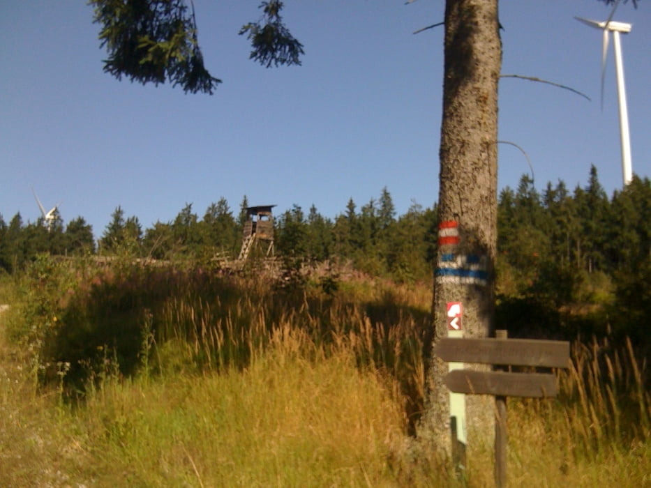 Nordwaldkammweg und Moldaustausee