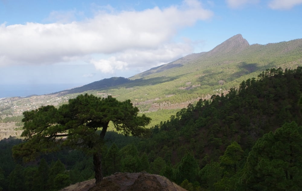 Cumbre Nueva