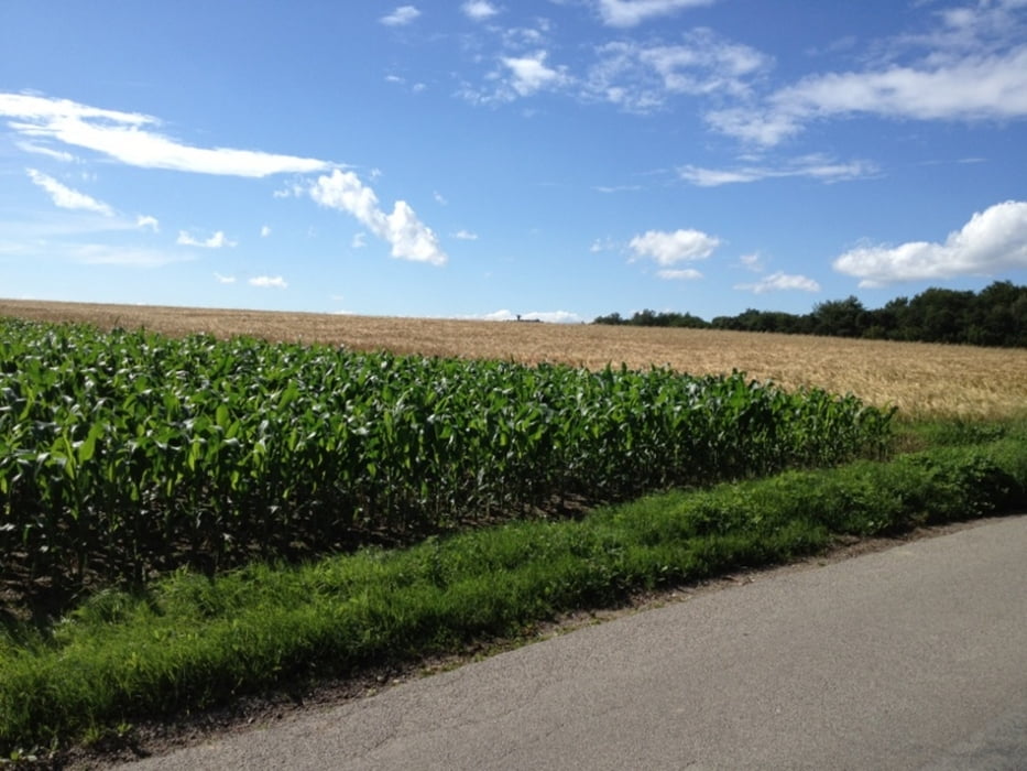 Burgstall-Johannesberg