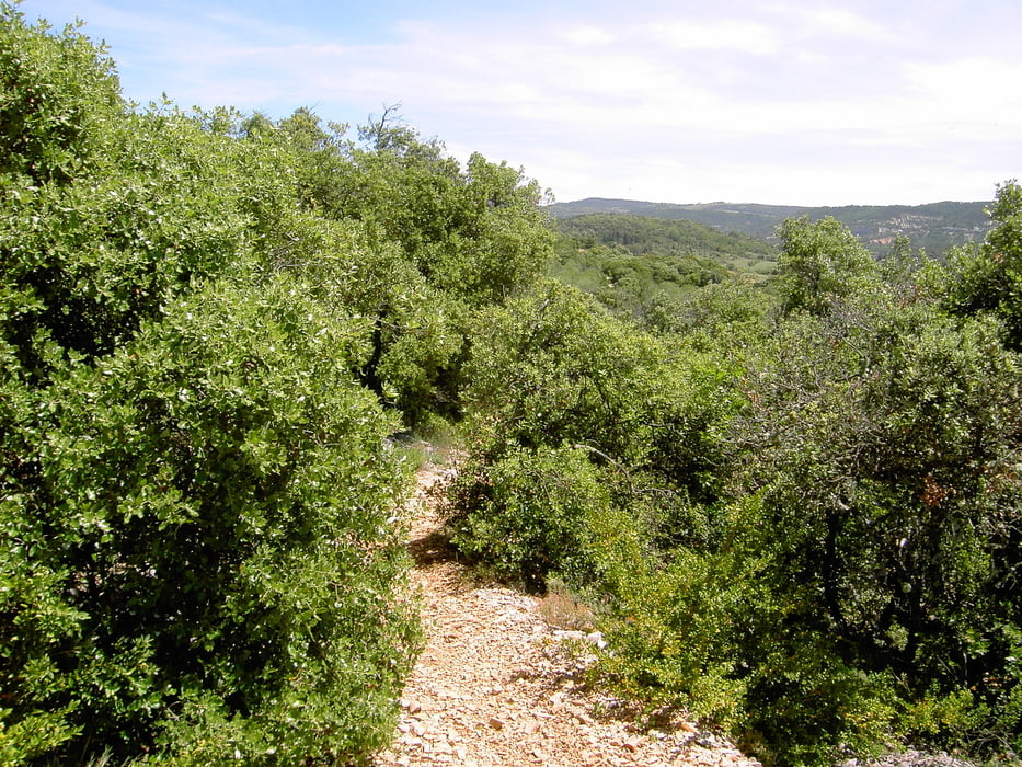 Rund um den Colorado Provencal-Rustrel