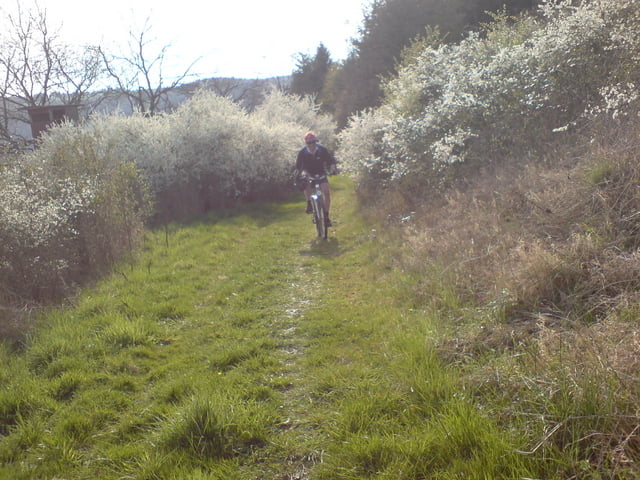 Limburg a.d. Lahn - Isselbach