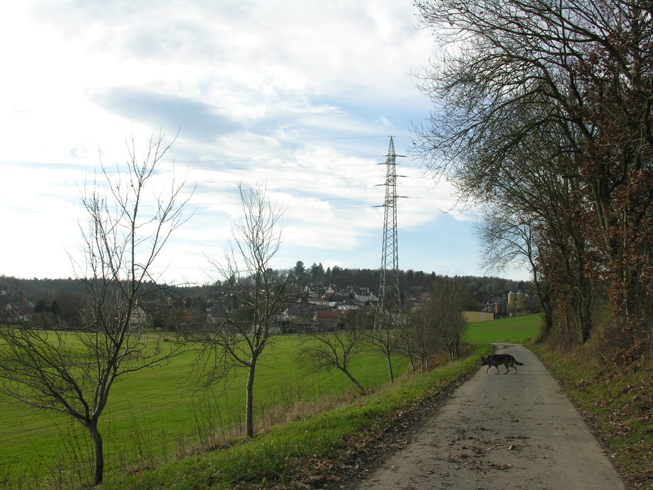 Rundwanderung: Esche - Bermbach - Esche