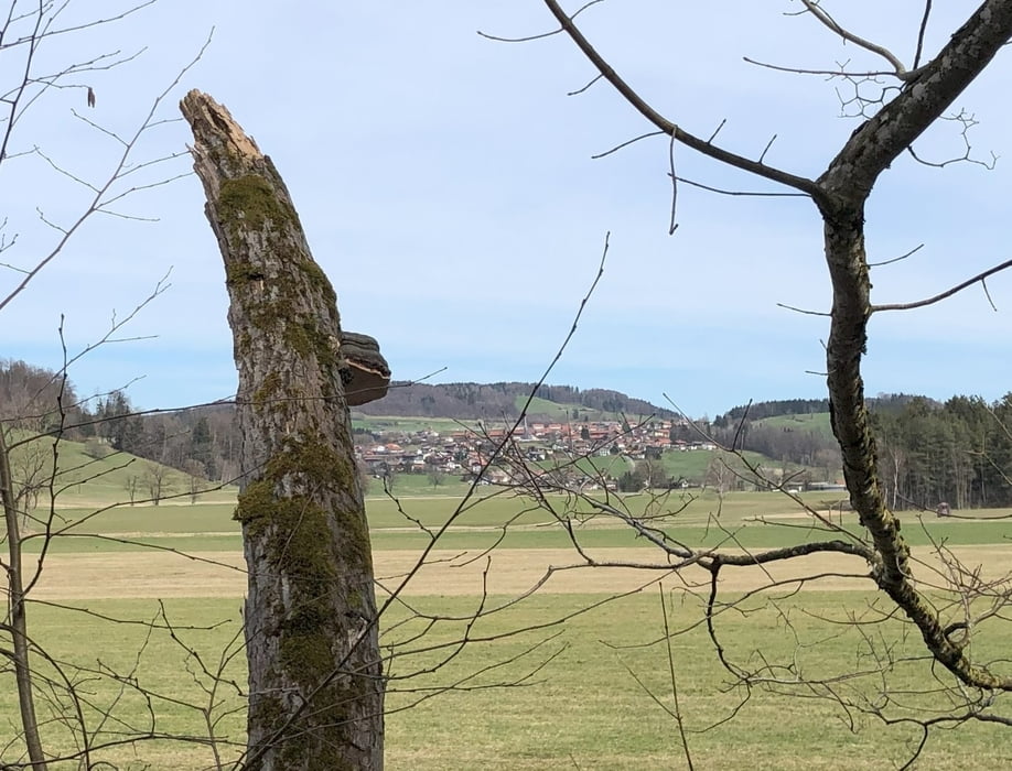 Osterwanderung Bergener Tal-Bernhaupten-Bad Adelholzen-Bergen