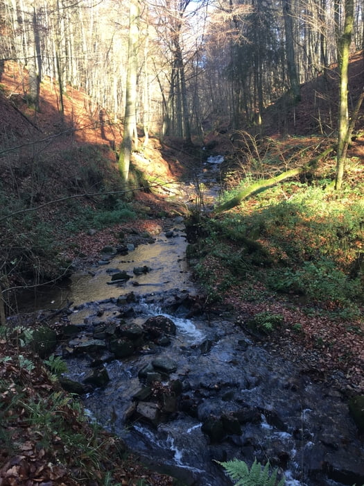 Rundweg_Kaskadenschlucht_Rotes_Moor