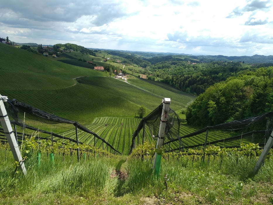 Südsteiermark, Weinlandradweg an der Grenze zu Slowenien