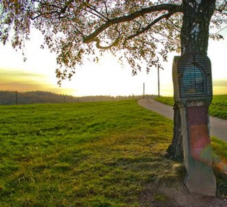 Weinheimer Wald (kalter Hergott)