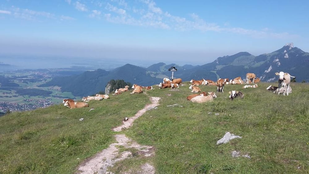 laubensteingipfel