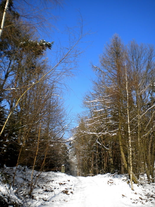 Höhenweg