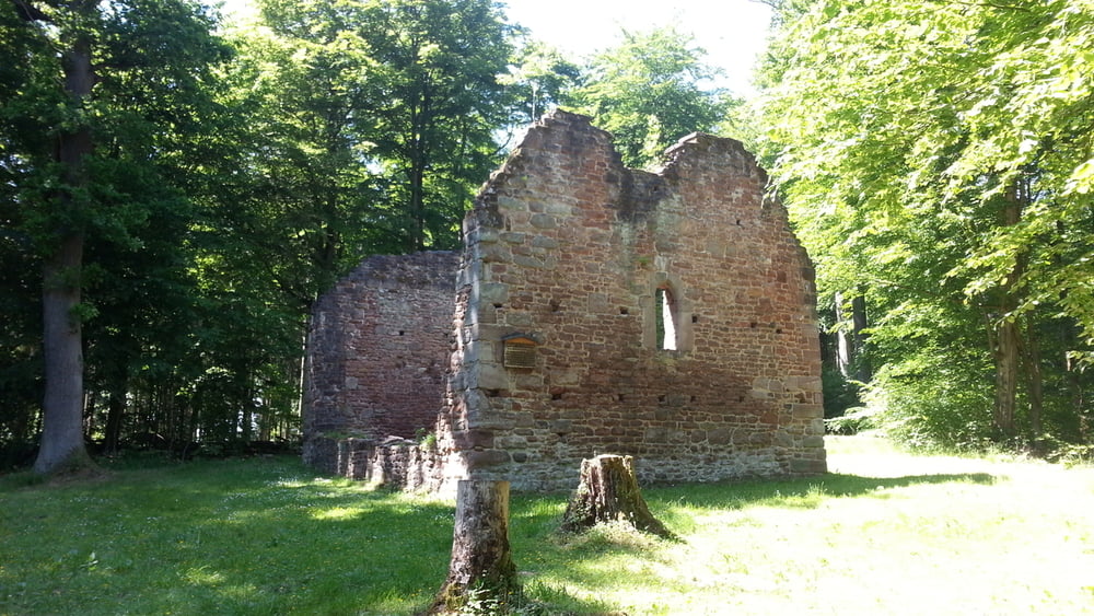 Göttinger Wald T13: Zur Ruine der Leisenberger Kirche