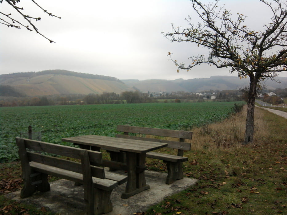 RW-Konz Könen-Kanzem Haus Sonnenberg-16km