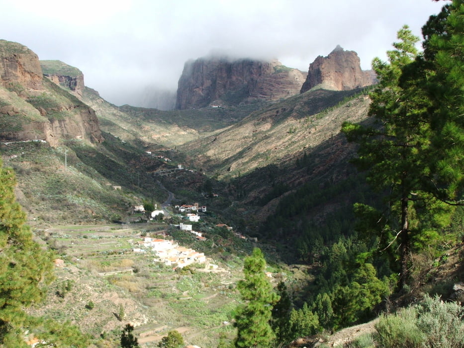 Gran Canaria: Pajonales