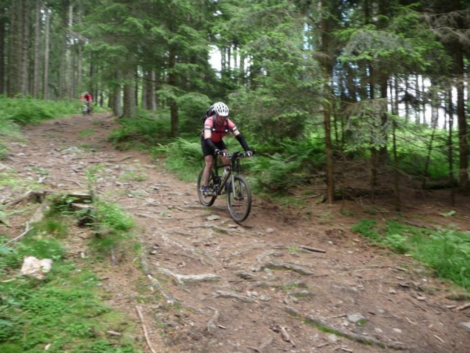 Westweg, Von Schonach zum Titisee