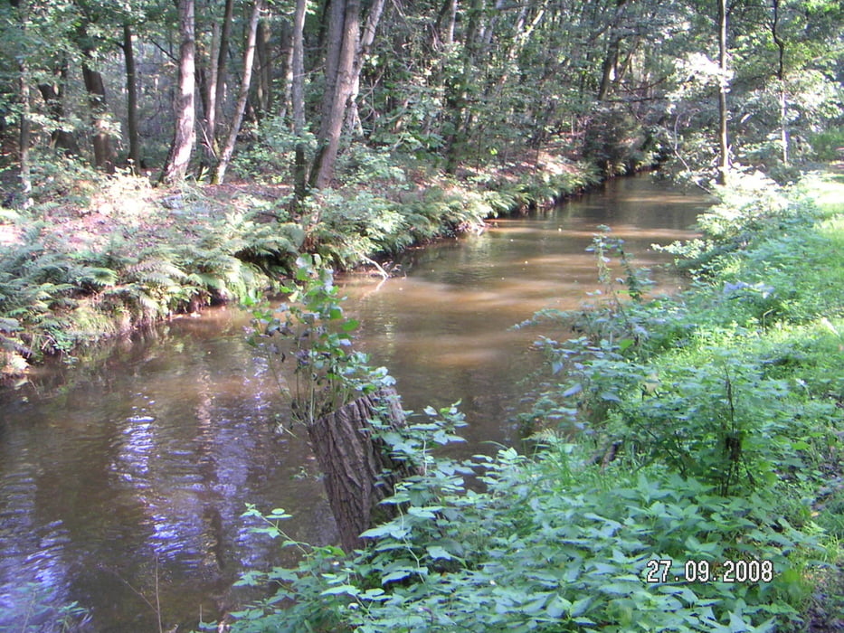 am Niederrhein: Brüggen - Schwalm - Elmpter Bruch