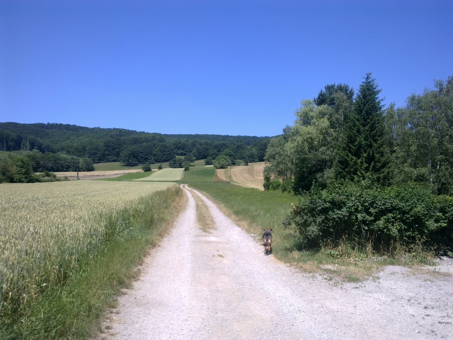 Rudolfshöhe