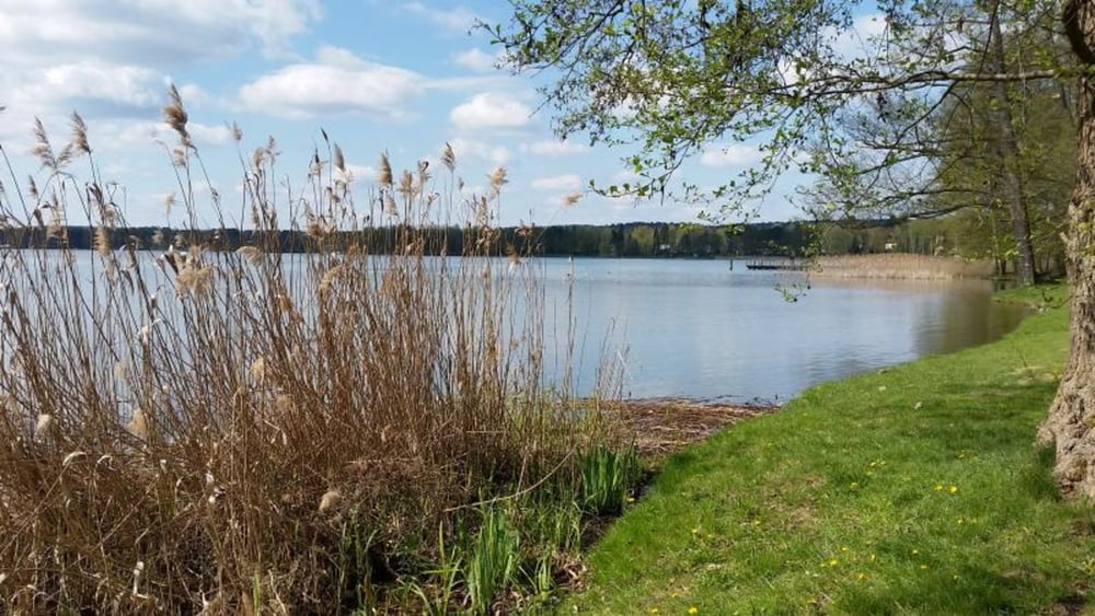145. Bad Saarow, Scharmützelsee, Grosser Kolpiner See, Rauener Berge, Aussichtsturm Rauener Berge, 66 Seen Wanderweg