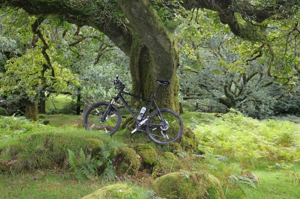 Dartmoor: Princetown Burrator Trails