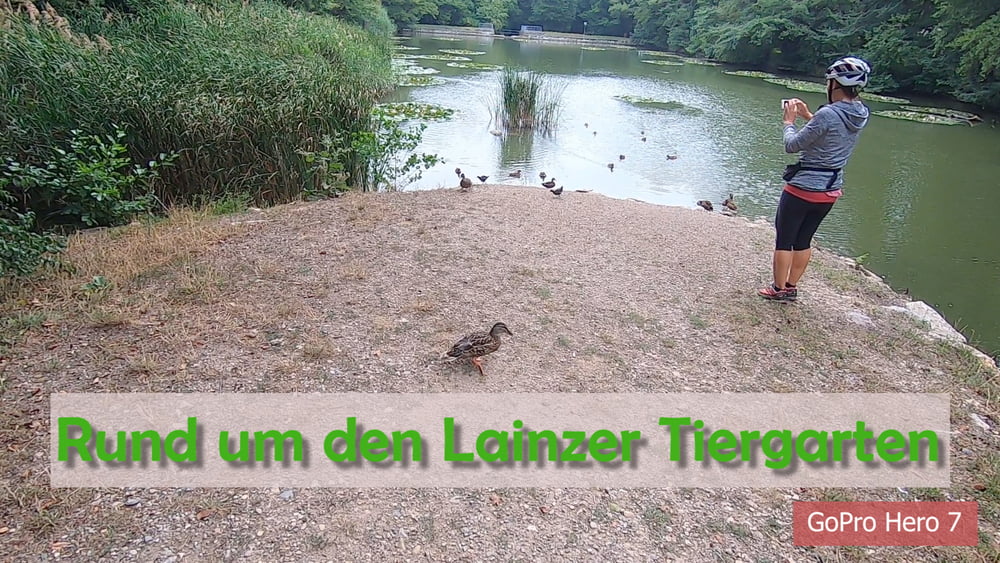 Rund um den Lainzer Tiergarten und Wienfluß Radweg