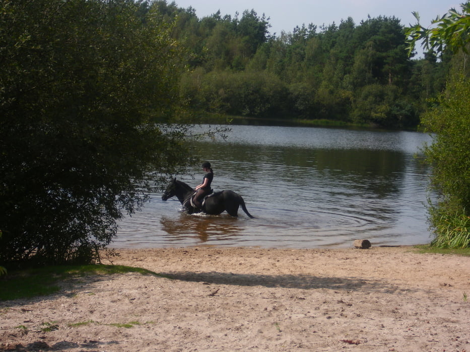 Wilbertoord - Kraaijenbergse - Ullingse Berge