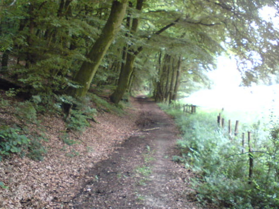 Lambsborn