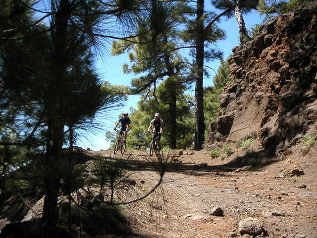 Pferde und Singletrails