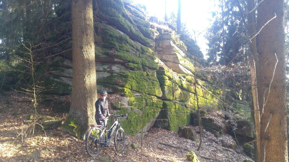 Schellenberg