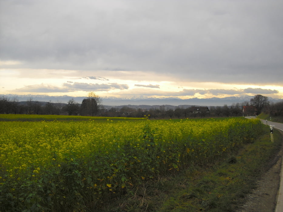 Bodenseehinterland Illmensee Höchsten