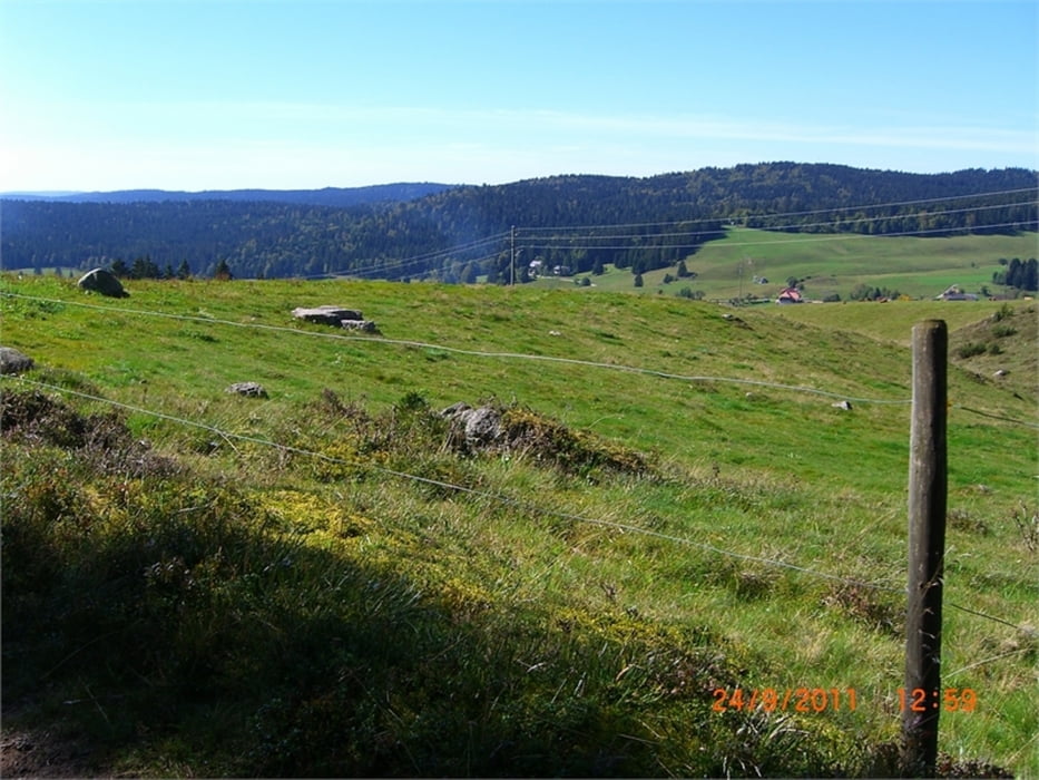 Ibacher Panoramaweg