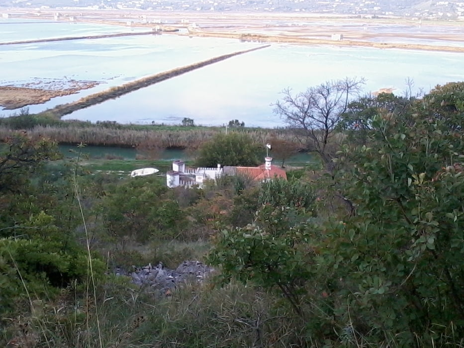 Savudrija