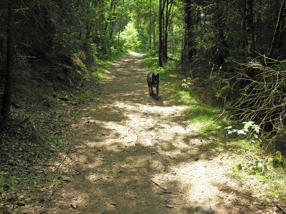 Rund um den Sandplacken