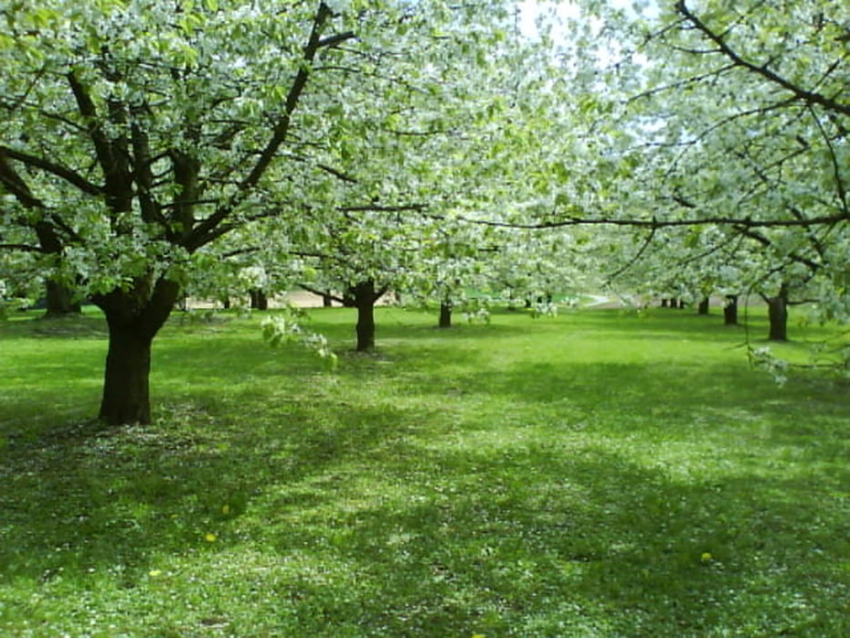 Gräfenberg Lauf-Veldershof-Kirchröttenbach-Wölfersdorf-Gräfenberg