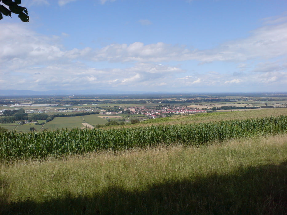 Rundtour Hugsweier-Tafeltanne-Rauhörnle-Guttahütte