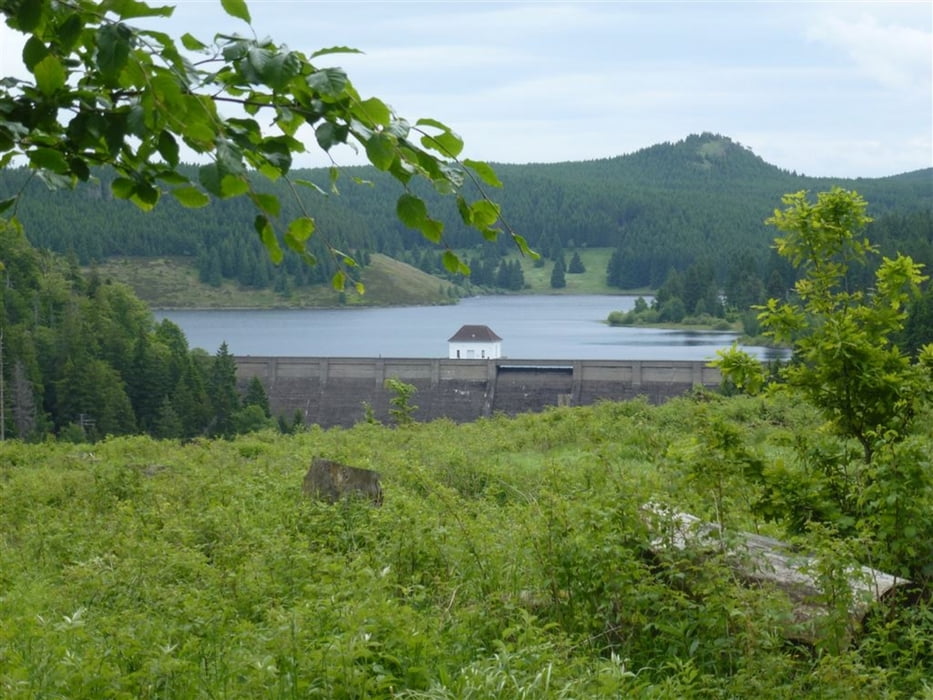 Bad Harzburg - Rund um die Eckertalsperre - Scharfenstein - Radau Wasserfall