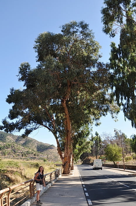 Santiago del Teide nach Masca_Rother Tour 25
