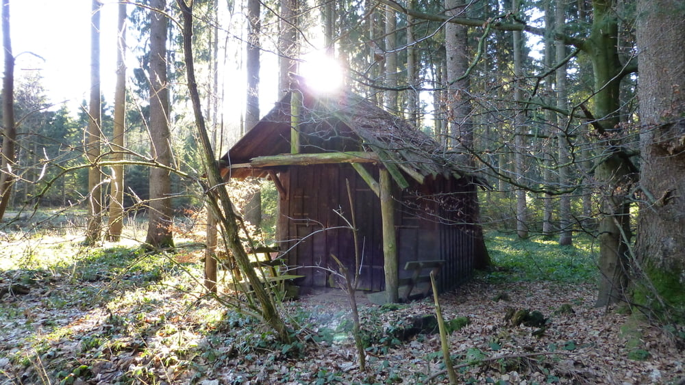 Altdorfer Wald