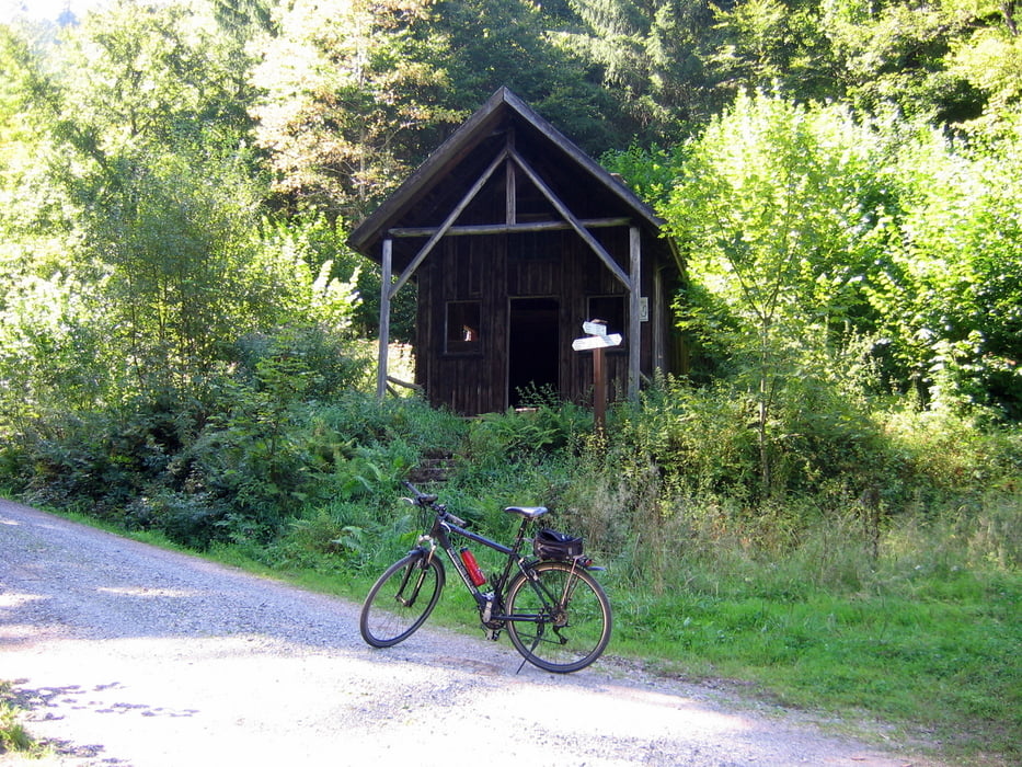 Baiersbronn Tobelbachtal Wildseeblick