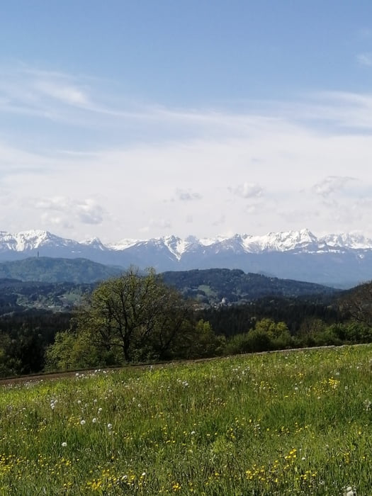 Auf den Freudenberg