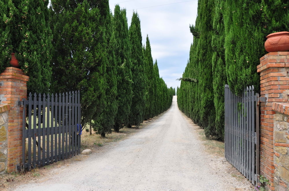 San Giminiano Rundtour_Nord