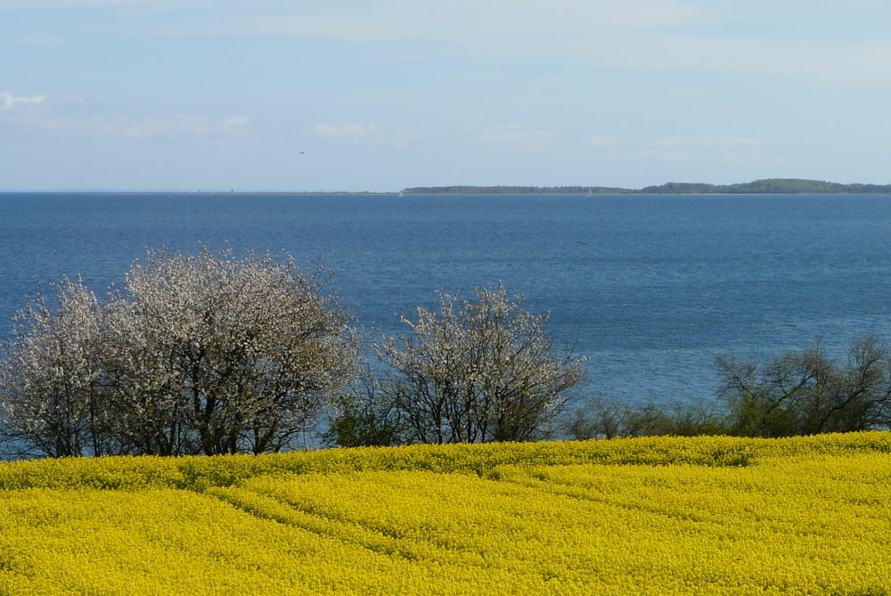 Mit Fahrrad von Flensburg nach Norgaardholz