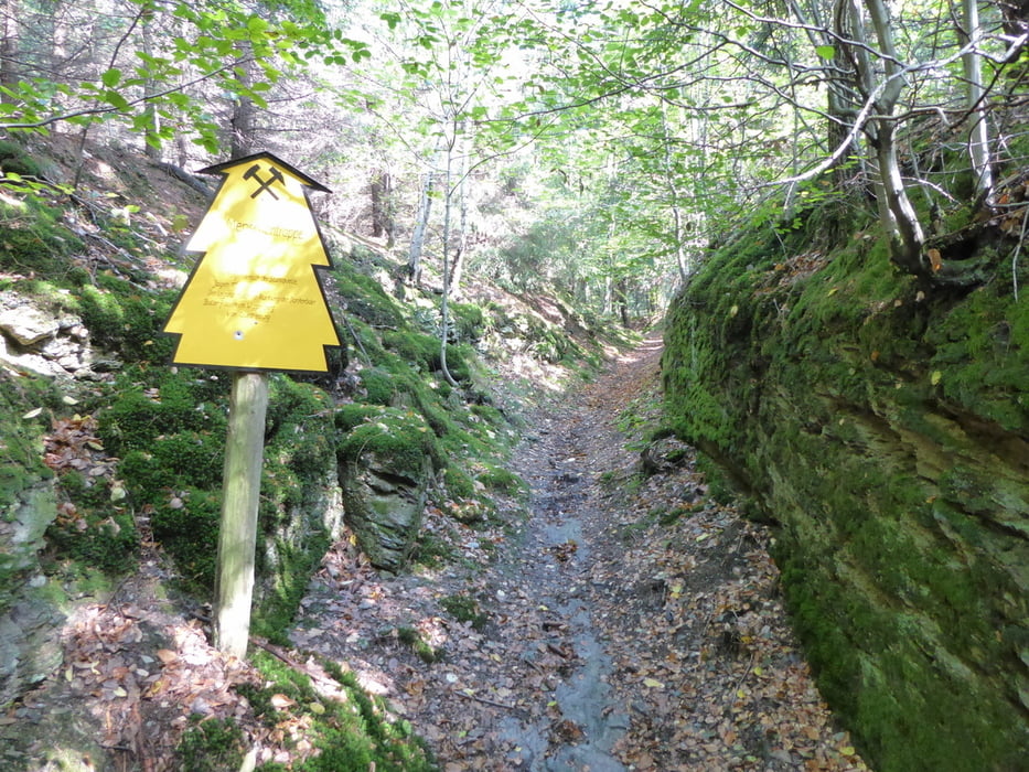 Birnbaumteich - Menschentrappe - Stahlquelle - Selketal - Grube Glasebach