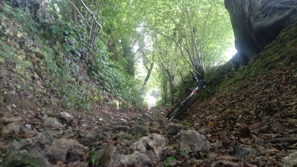 Normandie - es gibt doch MTB Strecken