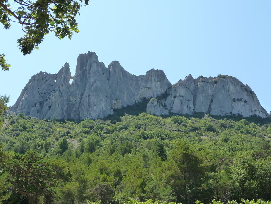 Dentelles Montmirail
