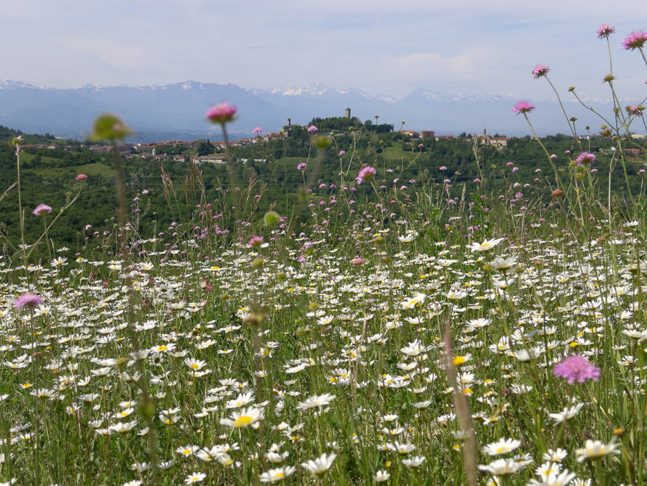 Von Alba nach Murazzano
