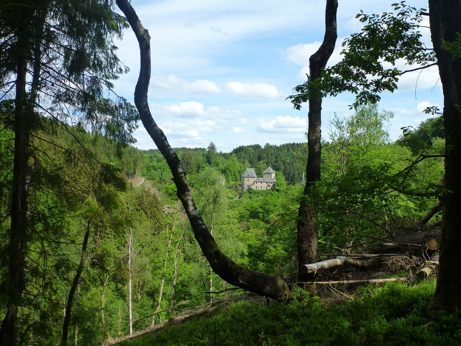 Waimes: Het kasteel van Reinhardstein aan de oevers van de Warche Autour du château de Reinhardstein