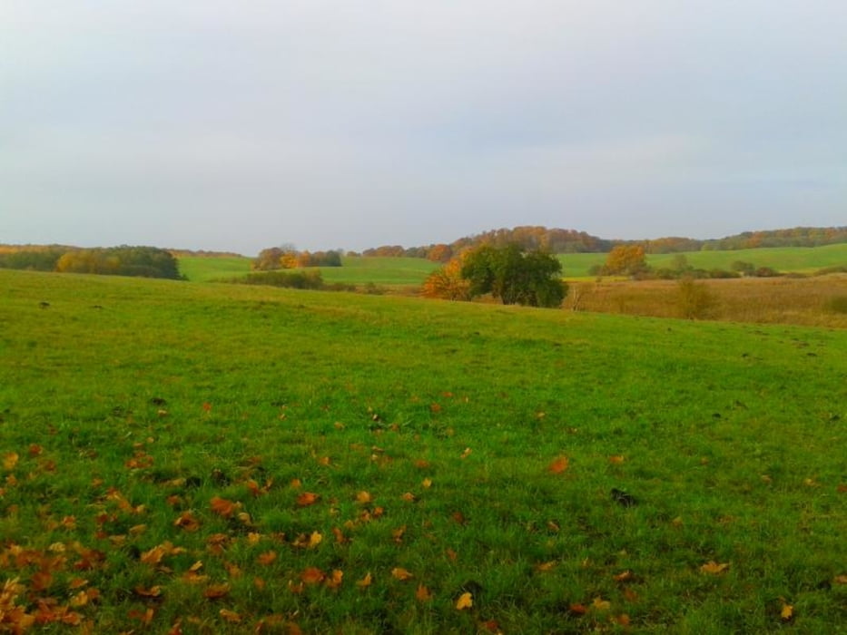 123. Rund um den Buchenwald Grumsin, UNESCO Weltnaturerbe