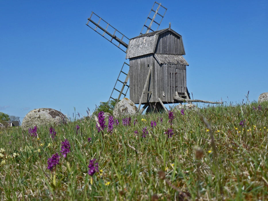 durch die Stora Alvaret auf der Insel Öland