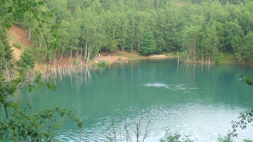 Lappwald RW31 (Baggerberge-Rundweg)