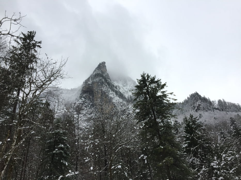 Schoppernau - Mellau