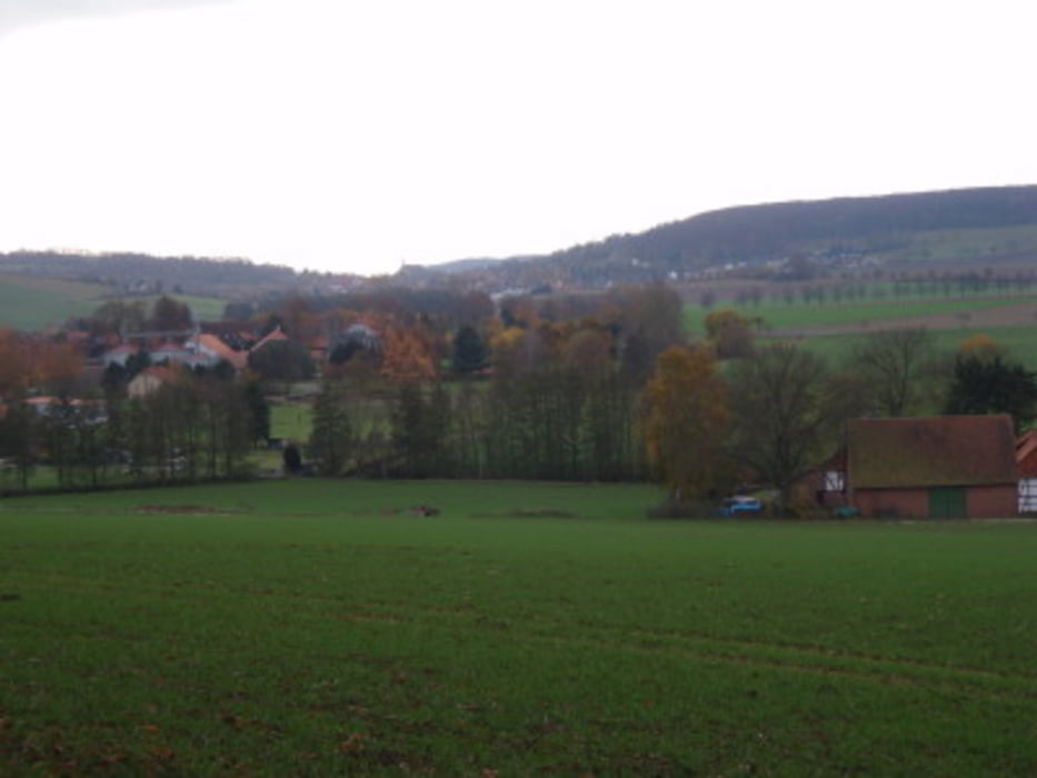 Störy - Neuhof