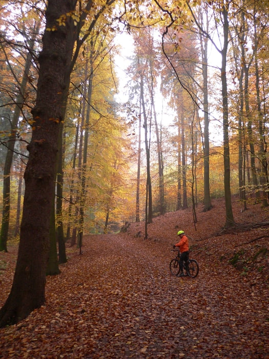 Haake-Tour in Harburger Heide