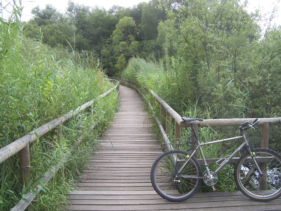 Von Jabel nach Waren in die Fahrradwerkstatt